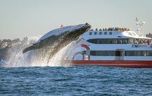 Celoživotní zážitek pro turisty na lodi v Sydney