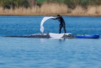 Timmy bojuje o život! Velrybu z mělčiny dostali na loď a míří do Severního moře
