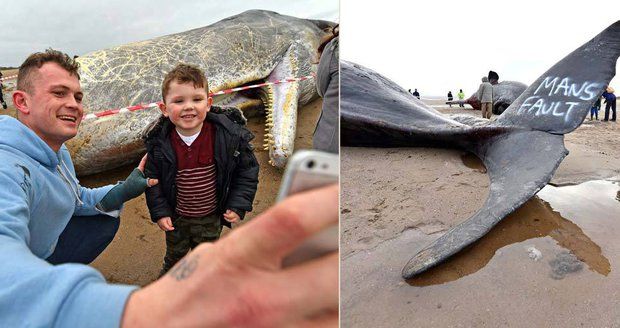 Je libo selfie s mrtvolou? Uhynulé velryby přilákaly stovky lidí kvůli focení a vandalskému sprejování