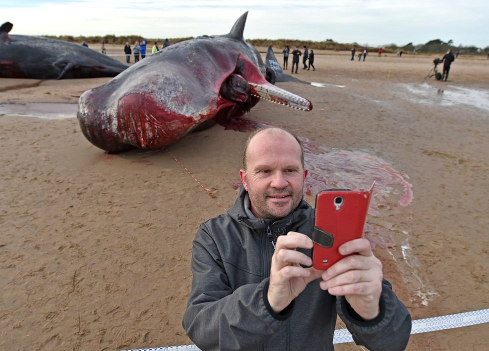 Selfie s mrtvou velrybou.