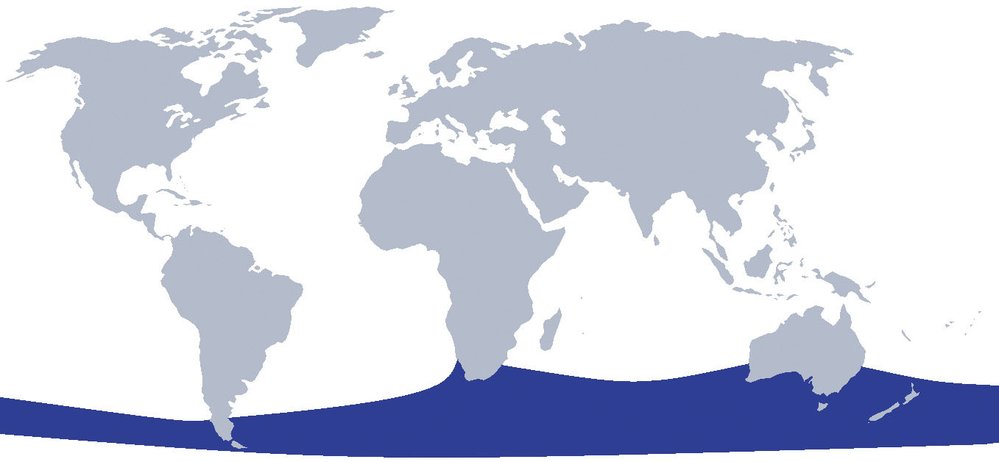 Areál rozšíření velrybky malé