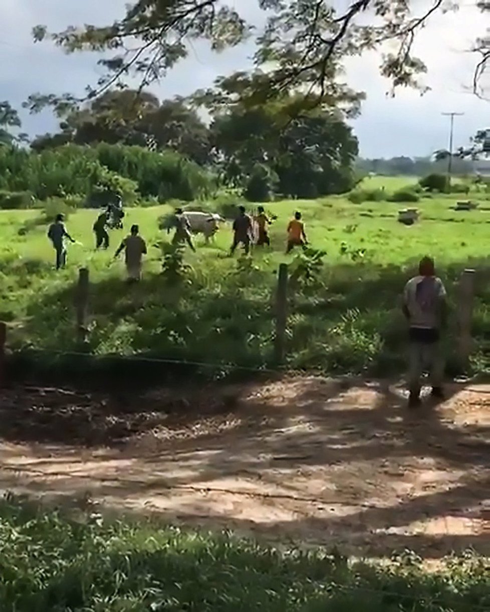 Rabování ve Venezuele.