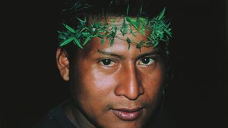 Chechtavý čaroděj: Návštěva u indiánského kmene Yekuanů ve venezuelské Amazonii