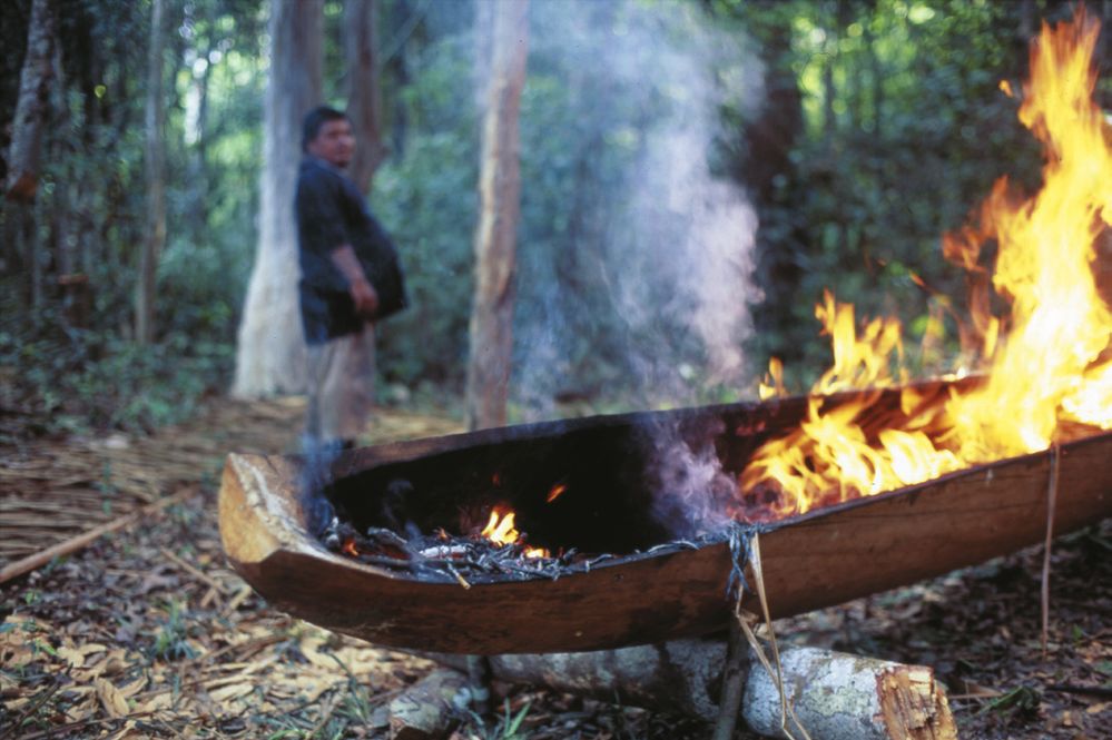 Tradiční výroba kanoe - v závěrečné fázi se ze stromu vytesaná kanoe musí vypálit.