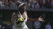 Americká tenisová legenda Venus Williamsová