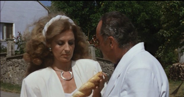 1991: V komedii Slunce, seno, erotika si zahrála manželku předsedy italského družstva.