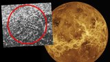 Na této fotce je Venušan, tvrdí ruský vědec