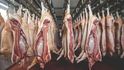 Čeští konzumenti vepřového se budou muset více spoléhat na maso z dovozu.