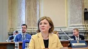 Eurokomisařka Věra Jourová na jednání vlády. (13. 4. 2022)