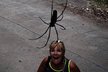 Z místních pavouků měla celkem respekt.