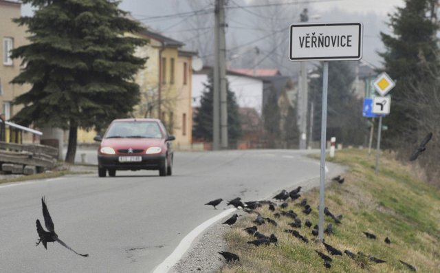 Věřňovice na Karvinsku jsou nejzamořenějším místem v Česku.