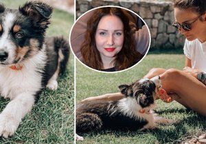 Veronika Arichteva se pochlubila novým přírůstkem do rodiny. Její sestra si pořídila štěně.