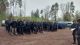 Policisté pátrají na Náchodsku po 2,5 roku pohřešované Veronice (36).
