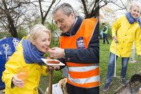 Žilková se Stropnickým zametali silnice: Našli peníze i zubní protézu!