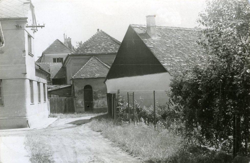 Rybníček patří k nejstarším a nejromantičtějším zákoutím ostrovního města Veselí nad Moravou.