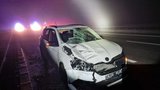 U Veselí nad Lužnicí usmrtilo auto chodce: Muž přebíhal dálnici