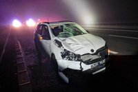 U Veselí nad Lužnicí usmrtilo auto chodce: Muž přebíhal dálnici