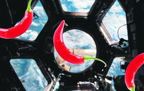 Takhle krásně si můžou papričky ve vesmíru poletovat.