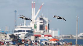 Start rakety Falcon Heavy sledovaly na floridském mysu Caneveral zástupy zvědavců