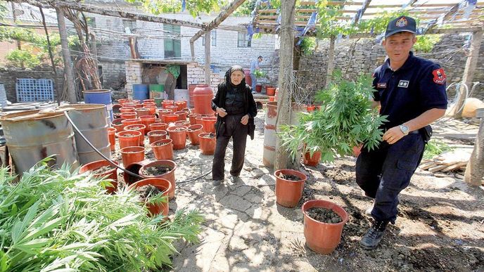 Vesnice zvaná Cannabis. Albánská policie zatkla koncem června během protidrogové operace v oblasti obce Lazarat 23 lidí, zničila 43 tun 
marihuany, 133 tisíc rostlin a pět laboratoří na výrobu drog