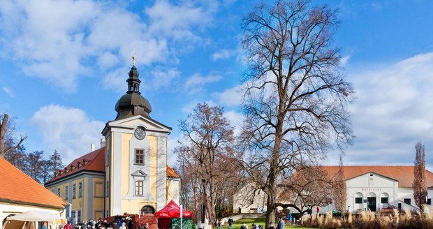 ANO chce utajit majetek obecních politiků. Piráti: „Čůráte proti větru“