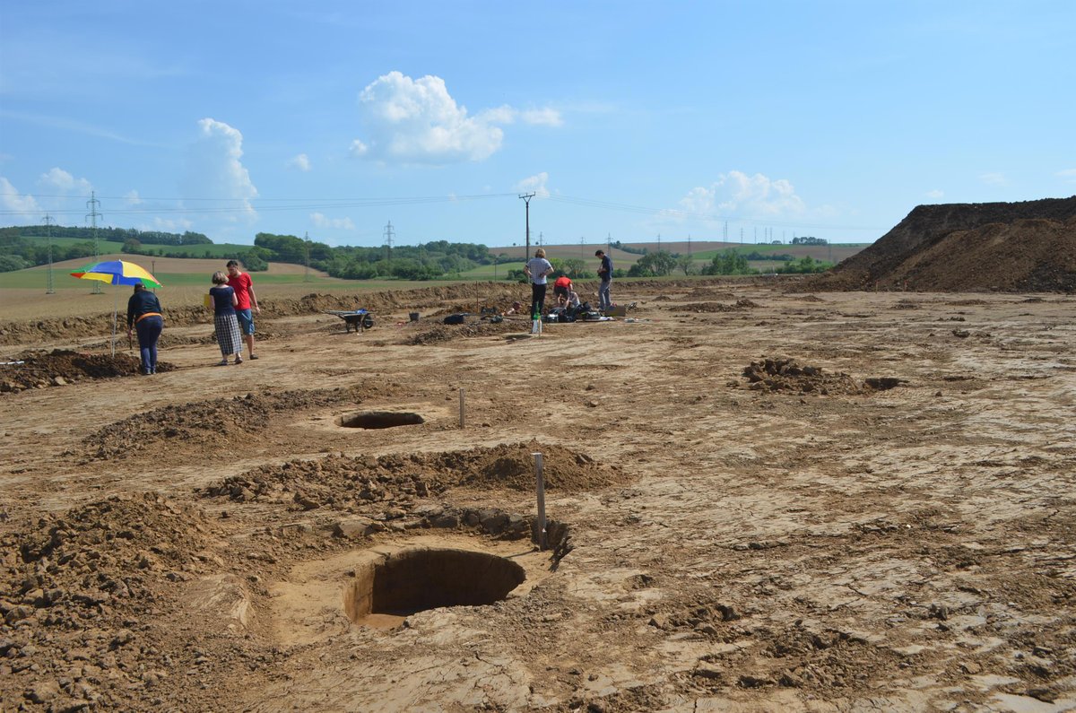 Našli ho archeologové v Kvítkovicích.