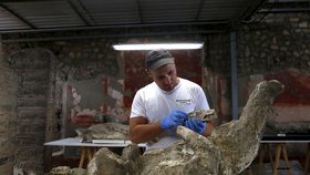 Vědci dodnes zkoumají těla obětí erupce sopky Vesuv.