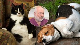 „Tloustnete vy i vaše zvířata.“ Veterinář sepsul Čechy kvůli obezitě a lenosti