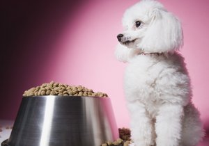 Granule mají daleko vyváženější poměr živin než kosti nebo zbytky z talířů