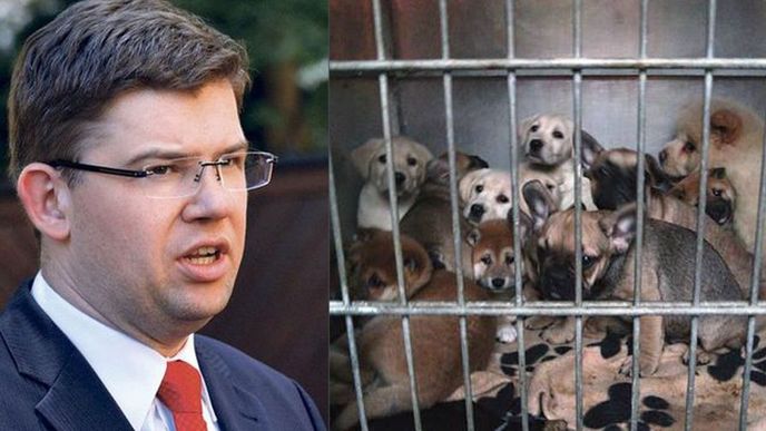 Předseda TOP 09 Jiří Pospíšil se dlouhodobě věnuje ochraně zvířat 