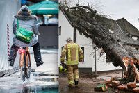 Orkán až 147 km za hodinu, vyvrácené stromy, rušené lety do Prahy: Evropu bičuje bouře