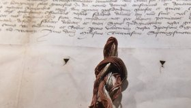 Expozice moravských Lucemburků na Veveří -pečeť darovací listiny pro augustiánský klášter svatého Tomáše v Brně z roku 1373.