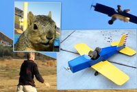 VIDEO: Přidrzlá veverka ukradla model letadla a pilotovala ho! Skutečně?