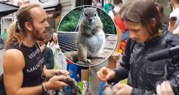 Aktivisté pojídali veverky před veganským obchodem. Nejedení masa není cesta, tvrdí