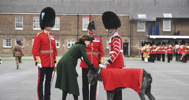 Královský pár slavil den sv. Patrika: Vévodkyně Kate v uplém kabátku ukázala těhotenské bříško.