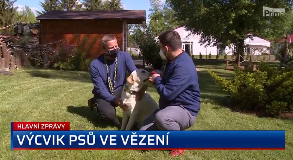 Vězeň Jaroslav Hluchý se podílí na cvičení psů ve věznici. Před rokem zachránil život svému kolegovi.