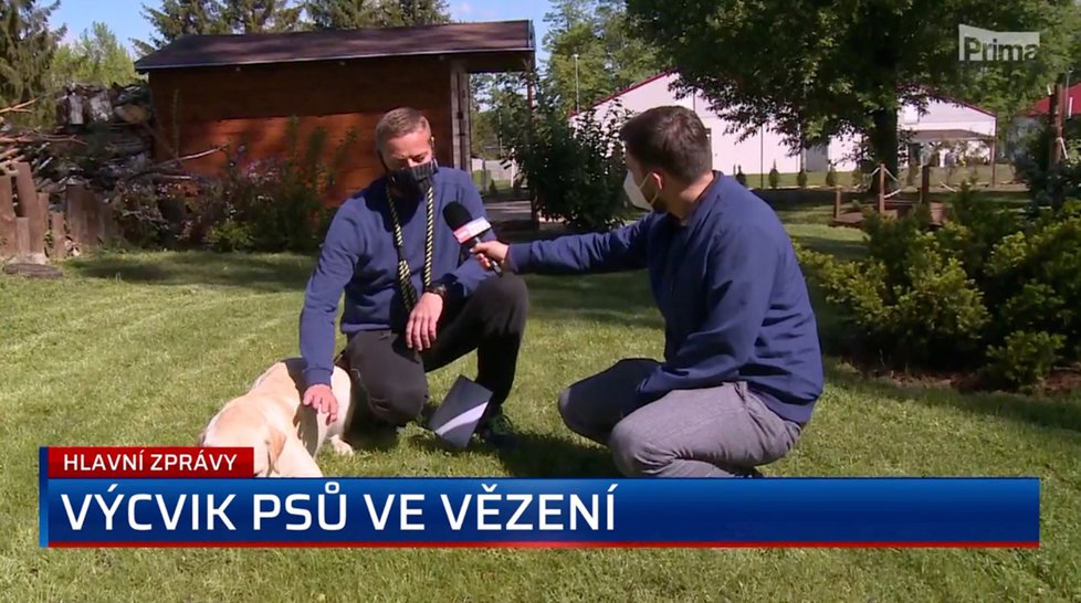 Vězeň Jaroslav Hluchý se podílí na cvičení psů ve věznici. Před rokem zachránil život svému kolegovi.