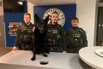 Pro uprchlého vězně si došli policisté se služebním psem Orinem.