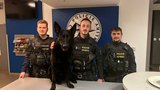 Vězni Ondřejovi se nechtělo sedět: Došli si pro něj policisté se psem Orinem
