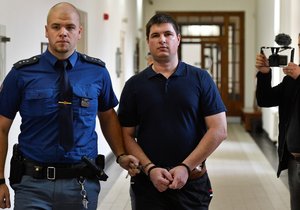 Lubomír polák si odpyká 35 let vězení.