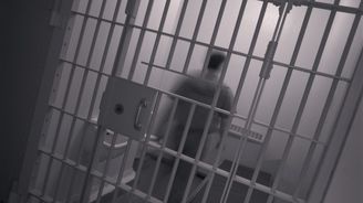 Zápisky českého vězně: Co tu vlastně dělám aneb Kulečník, unesený kocour a nějaké ty čínské vázy