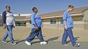 V kalifornské věznici mají stále zhruba 120 těhotných žen.