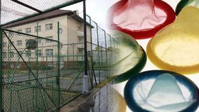 Do českých věznic míří automaty na kondomy: Kvůli AIDS a žloutence