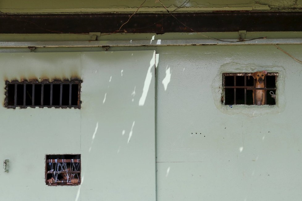 Život v přeplněné panamské věznici La Joya