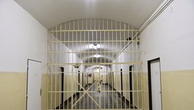 Takto to vypadá ve věznici Pankrác.