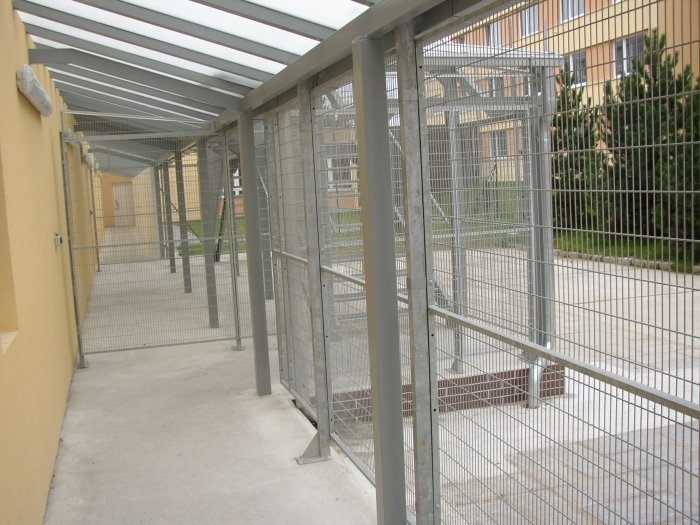 Obavy ze šíření infekce v ženské věznici ve Světlé nad Sázavou: Mluvčí potvrdila úmrtí jedné chovankyně.