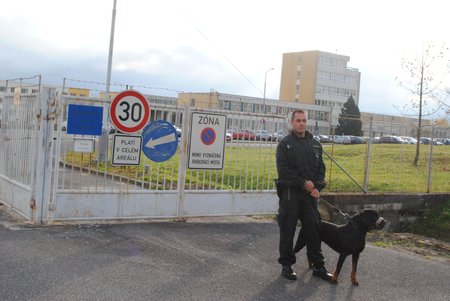 Hlavní bránu věznice v Kynšperku nad Ohří hlídal psovod