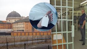 V Česku je momentálně „za mřížemi“ přes 22 tisíc vězňů.