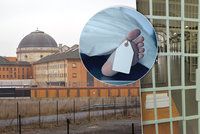 Kuriozity za českými mřížemi: Hladovkáři, 15 sebevražd, senioři v lochu i 10násobní vězni