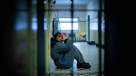 K poslednímu dni roku 2022 v českých věznicích pobývalo 17 498 odsouzených, polovina z nich poněkolikáté.